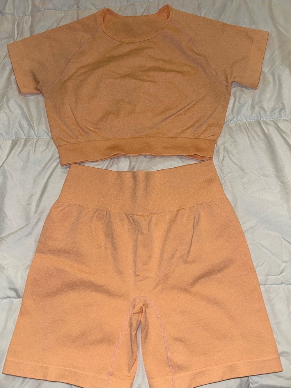 Seamless Workout Set - Short Sleeve Crop Top & High-Waist Biker Shorts